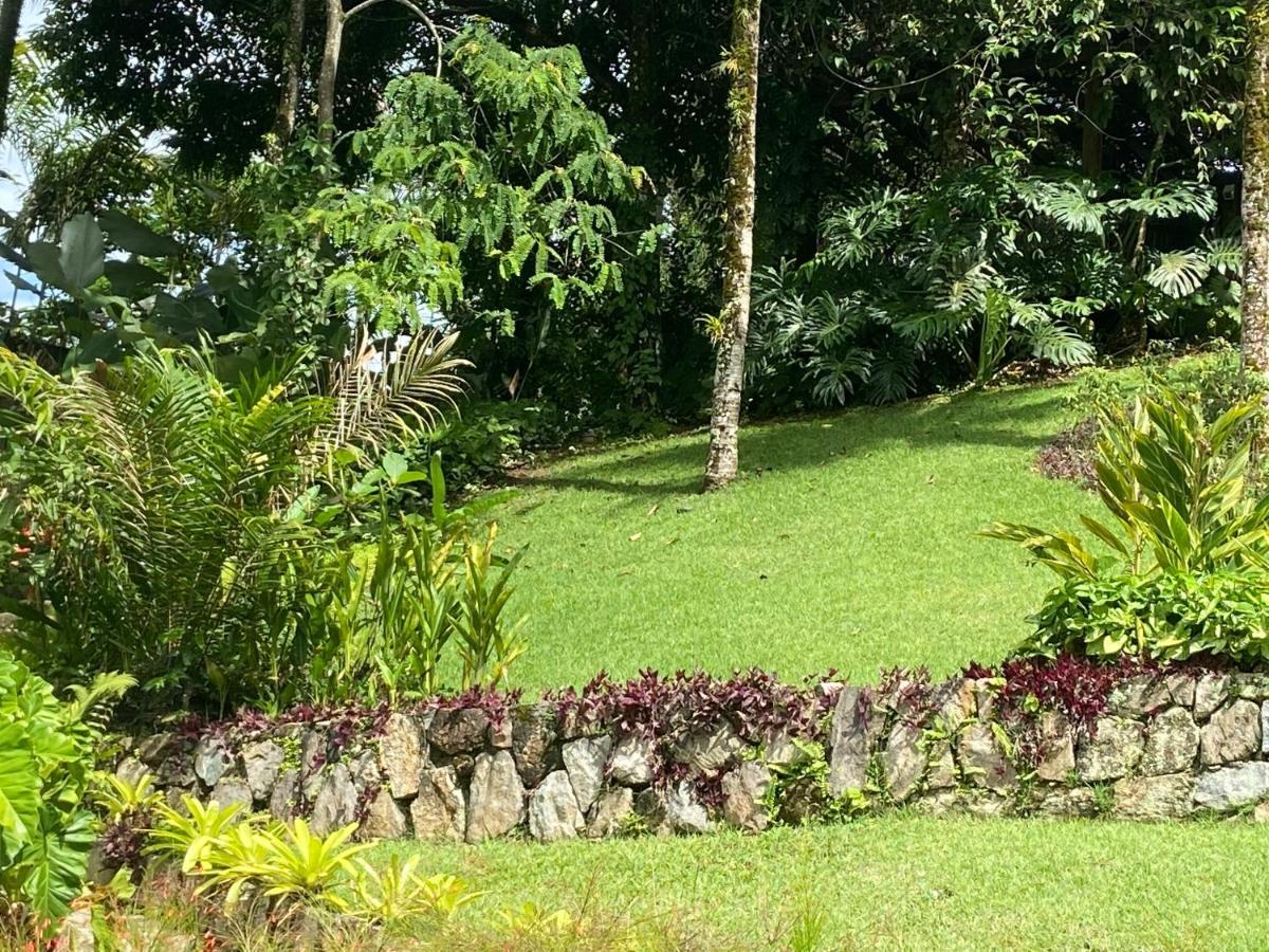 Tropical Contemporary Suites Paraty Ngoại thất bức ảnh